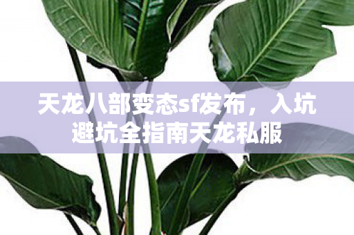 入坑避坑全指南天龙私服图片