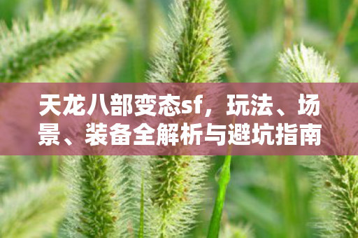 装备全解析与避坑指南天龙私服图片