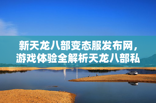 游戏体验全解析天龙八部私服图片