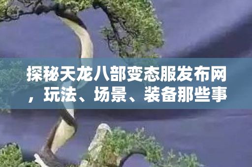 探秘天龙八部变态服发布网图片