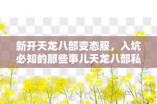 入坑必知的那些事儿天龙八部私服图片