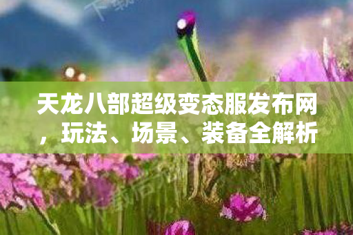 装备全解析与避坑指南天龙八部私服图片