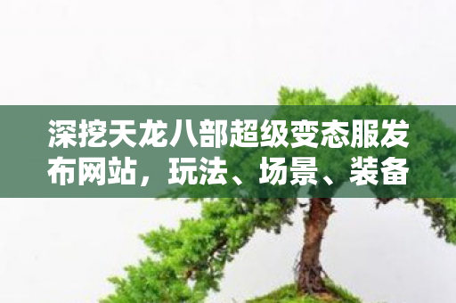 深挖天龙八部超级变态服发布网站图片