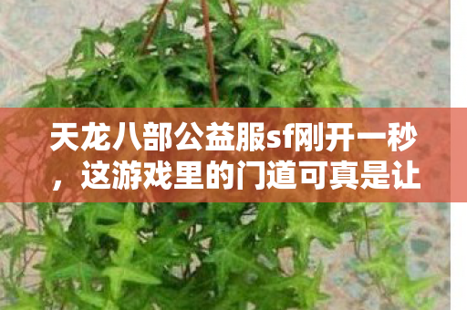这游戏里的门道可真是让人摸爬滚打了好久图片
