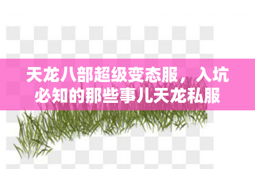 入坑必知的那些事儿天龙私服图片