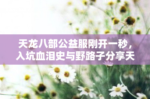 入坑血泪史与野路子分享天龙私服图片