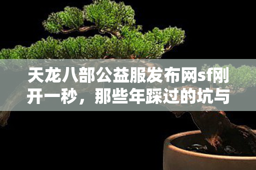 那些年踩过的坑与摸出的野路子天龙私服图片