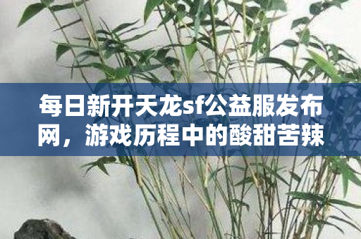 每日新开天龙sf公益服发布网图片