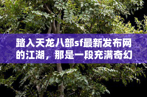 踏入天龙八部sf最新发布网的江湖图片