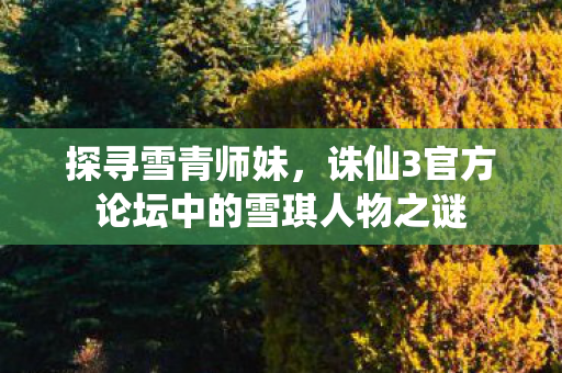 诛仙3官方论坛中的雪琪人物之谜图片