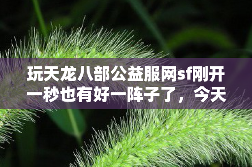 玩天龙八部公益服网sf刚开一秒也有好一阵子了图片