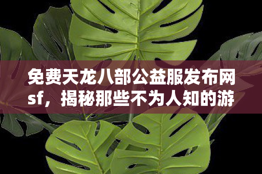 揭秘那些不为人知的游戏体验天龙私服图片
