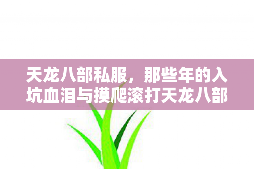 那些年的入坑血泪与摸爬滚打天龙八部私服图片