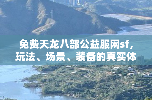 装备的真实体验与避坑指南天龙私服图片