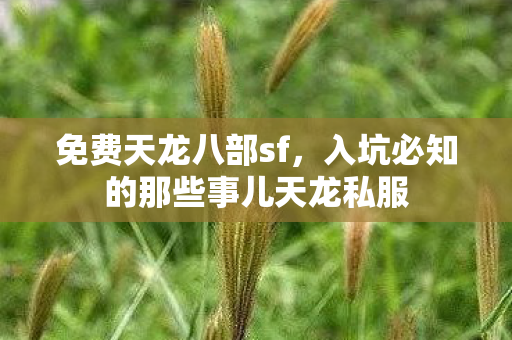 入坑必知的那些事儿天龙私服图片