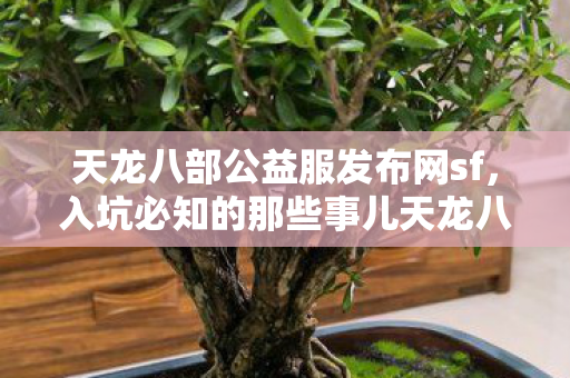 入坑必知的那些事儿天龙八部私服图片