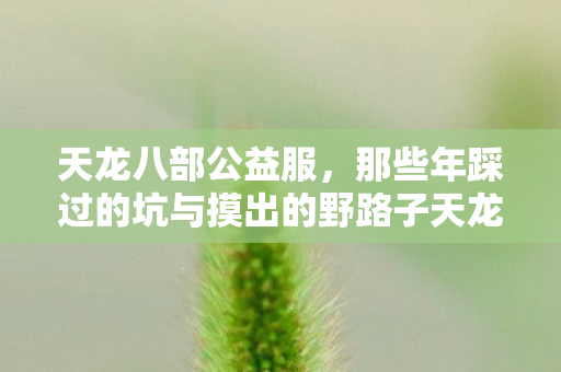 那些年踩过的坑与摸出的野路子天龙私服图片