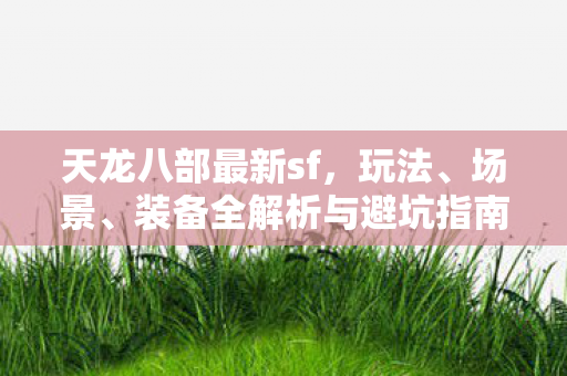 装备全解析与避坑指南天龙私服图片