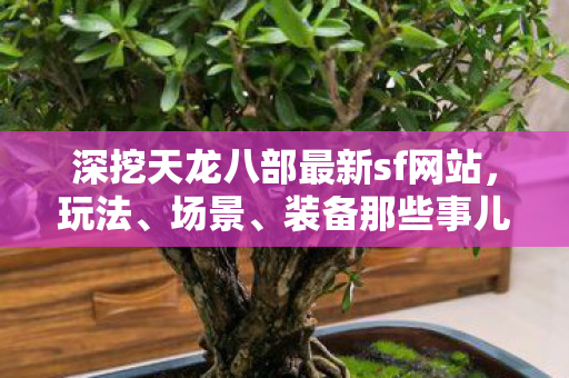 深挖天龙八部最新sf网站图片