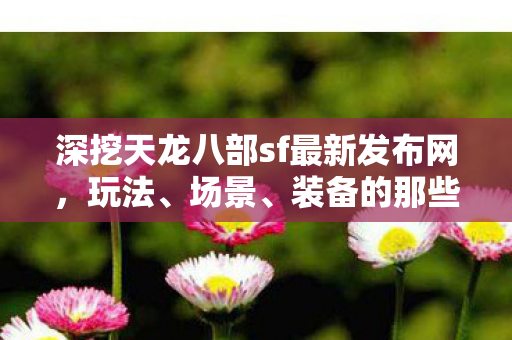 深挖天龙八部sf最新发布网图片