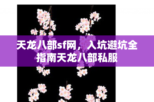 入坑避坑全指南天龙八部私服图片