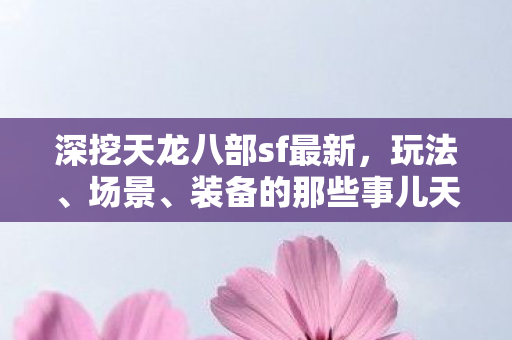 装备的那些事儿天龙八部私服图片