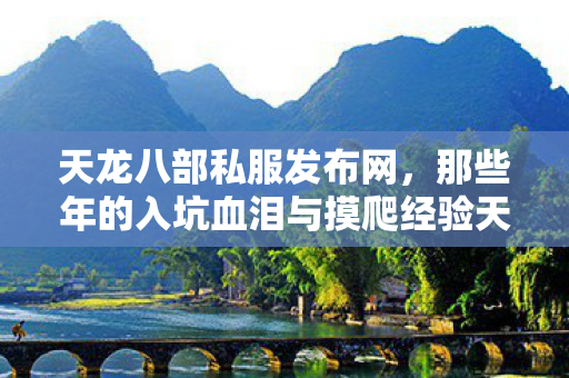 那些年的入坑血泪与摸爬经验天龙私服图片