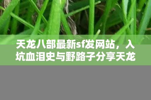 入坑血泪史与野路子分享天龙八部私服图片