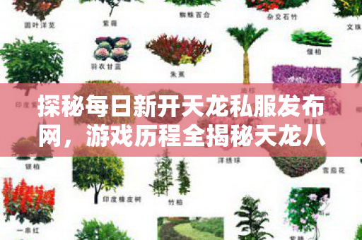 探秘每日新开天龙私服发布网图片