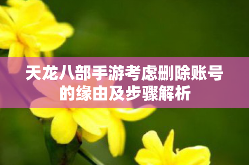 天龙八部手游考虑删除账号的缘由及步骤解析图片