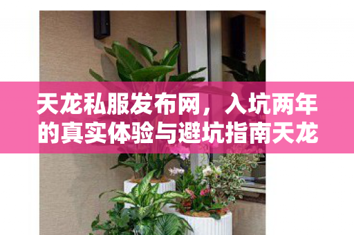 入坑两年的真实体验与避坑指南天龙私服图片