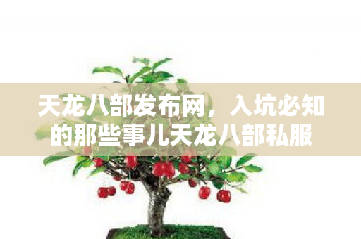 入坑必知的那些事儿天龙八部私服图片
