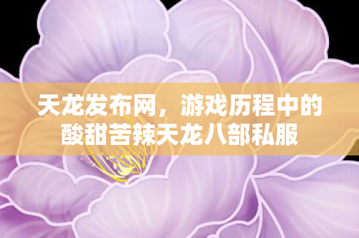 游戏历程中的酸甜苦辣天龙八部私服图片