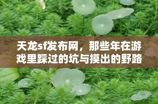 那些年在游戏里踩过的坑与摸出的野路子天龙八部私服图片