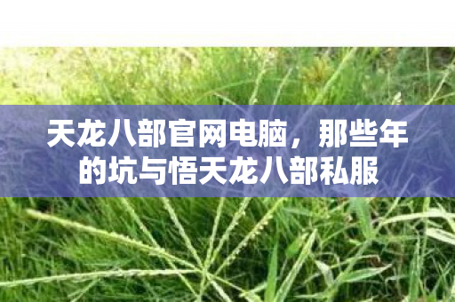 那些年的坑与悟天龙八部私服图片