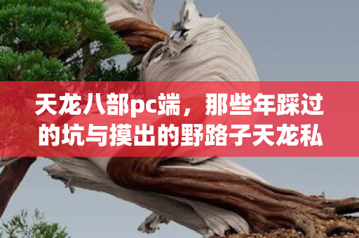 那些年踩过的坑与摸出的野路子天龙私服图片