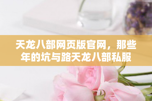 那些年的坑与路天龙八部私服图片