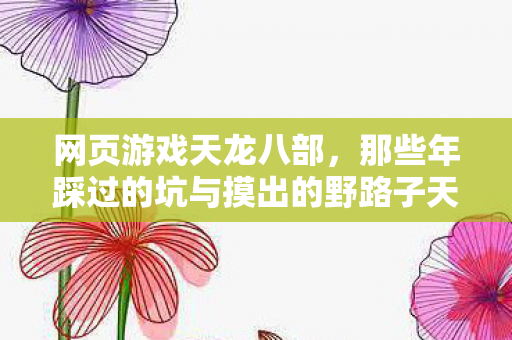 那些年踩过的坑与摸出的野路子天龙私服图片