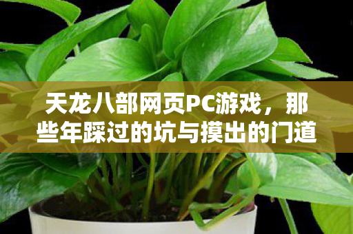 那些年踩过的坑与摸出的门道天龙八部私服图片