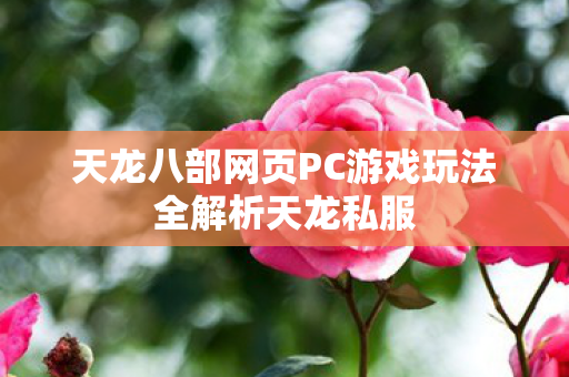 天龙八部网页PC游戏玩法全解析天龙私服图片
