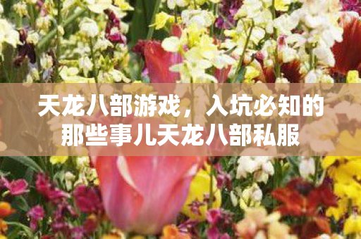 入坑必知的那些事儿天龙八部私服图片