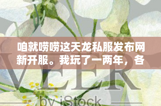 咱就唠唠这天龙私服发布网新开服图片