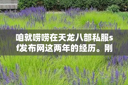 咱就唠唠在天龙八部私服sf发布网这两年的经历图片