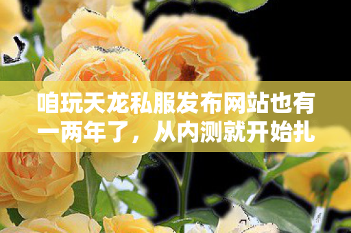 咱玩天龙私服发布网站也有一两年了图片