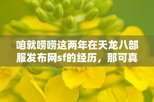 咱就唠唠这两年在天龙八部服发布网sf的经历图片