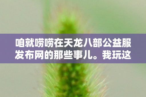 咱就唠唠在天龙八部公益服发布网的那些事儿图片