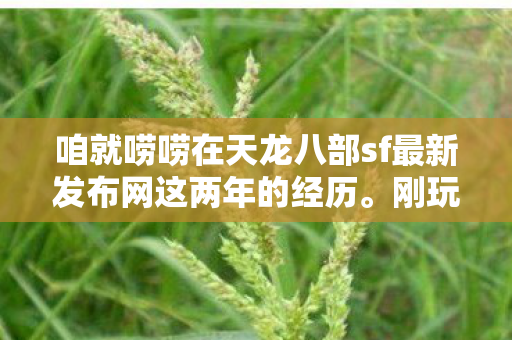 咱就唠唠在天龙八部sf最新发布网这两年的经历图片