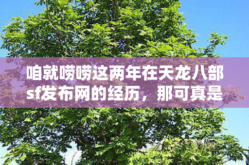 咱就唠唠这两年在天龙八部sf发布网的经历图片
