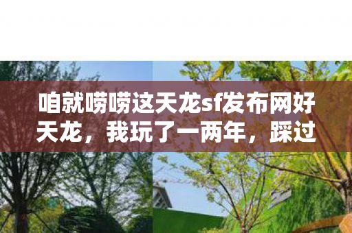 咱就唠唠这天龙sf发布网好天龙图片