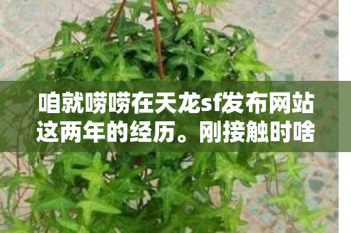 咱就唠唠在天龙sf发布网站这两年的经历图片